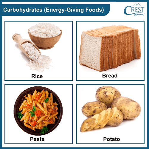 Examples of Energy giving foods