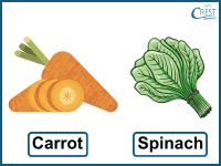 carrot and spinach