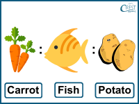 carrot-fish-potato