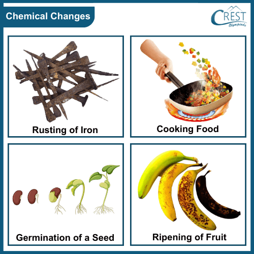 Examples of Chemical Changes - Science Grade 7