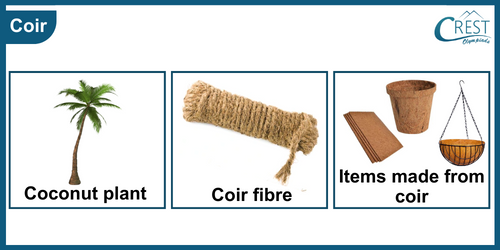 Uses of Coir - Science Grade 6