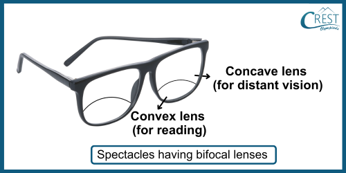 Spectacles having bifocal lenses (Concave and Convex Lenses)- CREST Olympiads