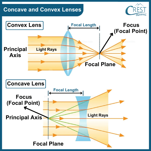 Concave and Convex lenses - Science Grade 7