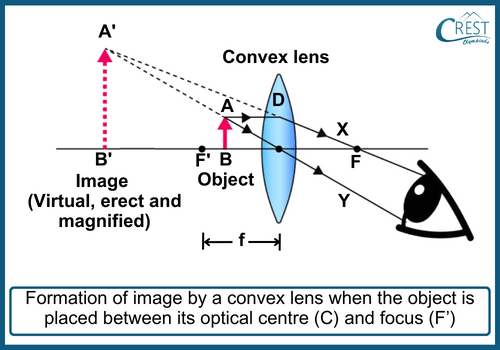 Formation of Images By Convex Lens when Object is between Optical Centre and Focus - CREST Olympiads