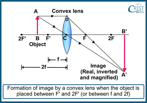 Formation of Images by Convex Lenses: Object between F’ and 2F - CREST Olympiads