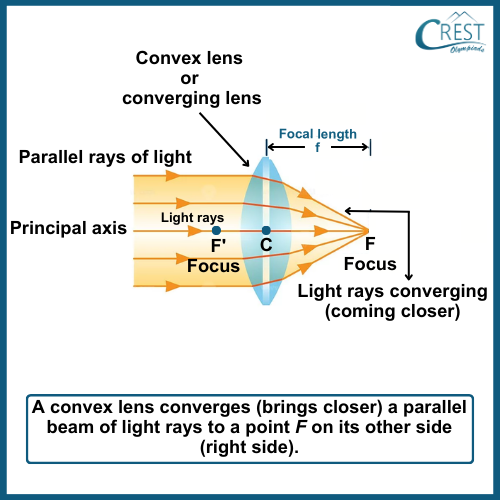Refraction of Light by Spherical Lenses: Convex Lens - CREST Olympiads