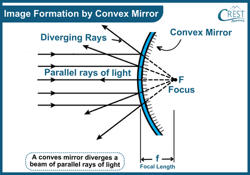 Diagram of Image Formation by Convex Mirror - Science Grade 8