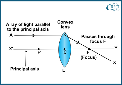 Rules for Obtaining Images Formed by Convex Lenses: Parallel Ray Rule - CREST Olympiads