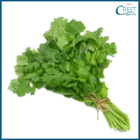  coriander