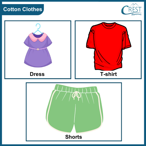 Examples of Cotton Clothes