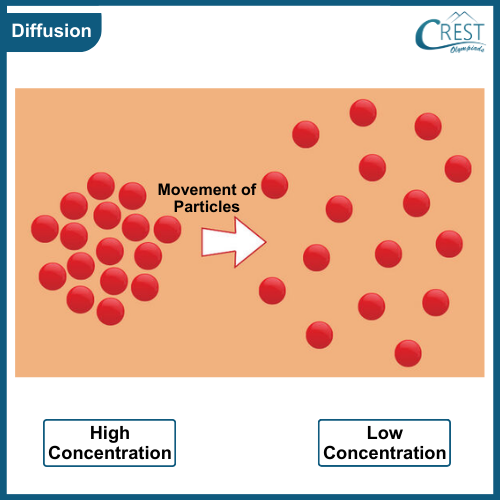 Process of Diffusion - Transport of Materials through Plasma Membrane