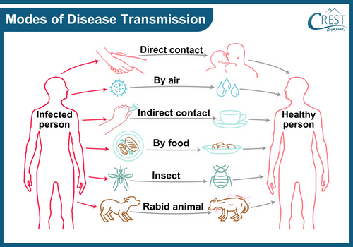 Different Modes of Disease Spread - CREST Olympiads