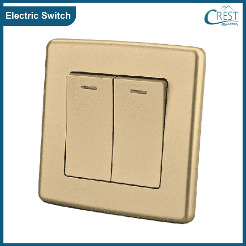 Electric Switch - Science Grade 6