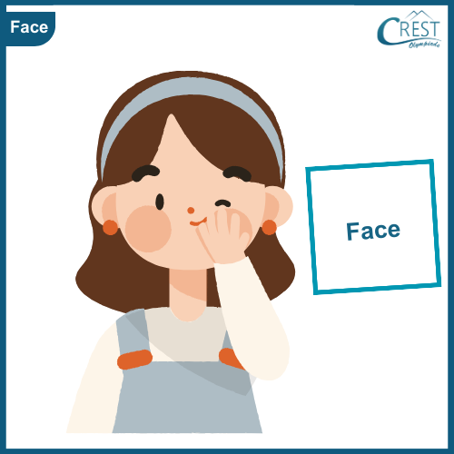 Face - My Body Parts for Class KG