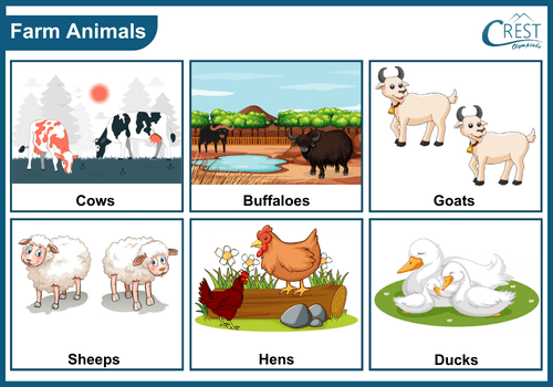 Examples of Farm animals