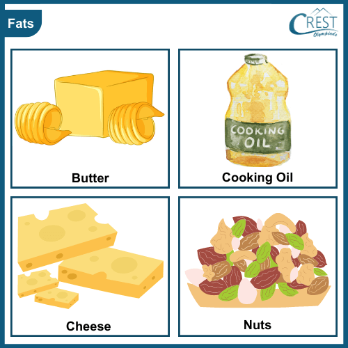 Examples of Fat Rich Foods