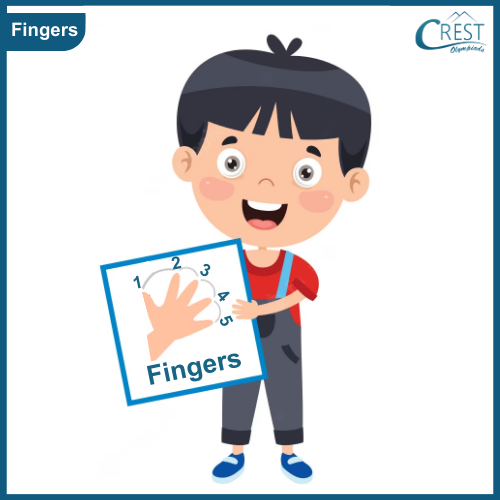 Fingers - My Body Parts for Class KG