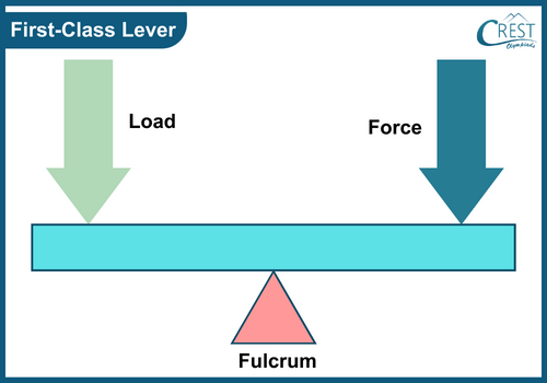 Simple Machines - First class lever