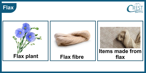 Uses of Flax - Science Grade 6