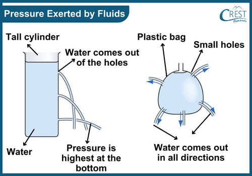 Pressure Exerted by Fluids - Science Grade 8
