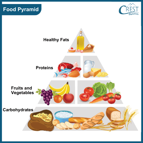 Food pyramid for balanced diet