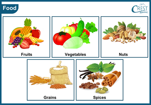 Different products obtained from plants
