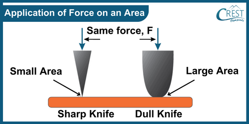 Example of Application of Force on an Area - Science Grade 8