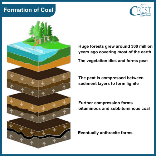 Diagram of Formation of Coal - Science Grade 8