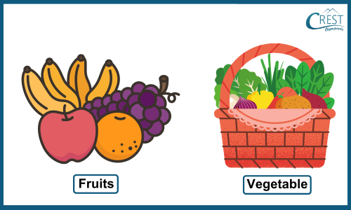 Fruits and Vegetables