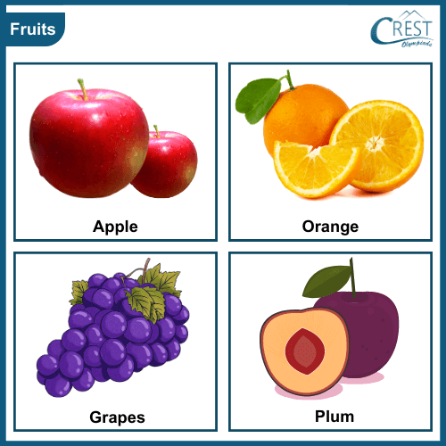 Class 3-Different types of fruits