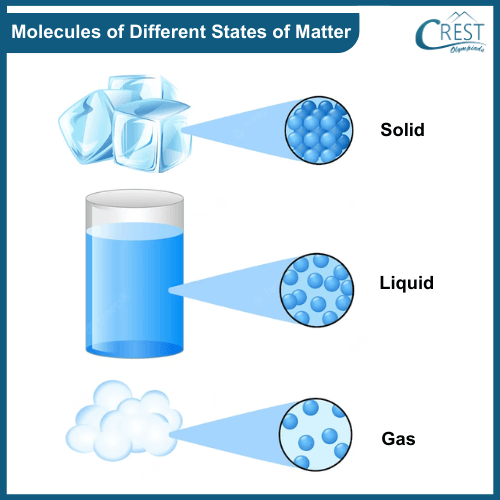 Molescules of different states of matter