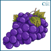 grapes-1-a
