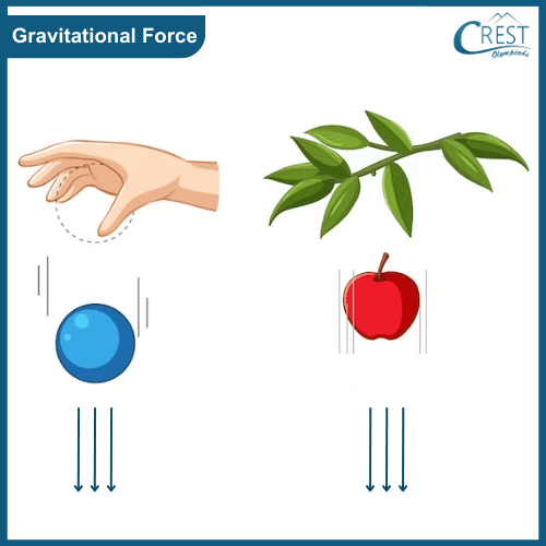 Examples of Gravitational force