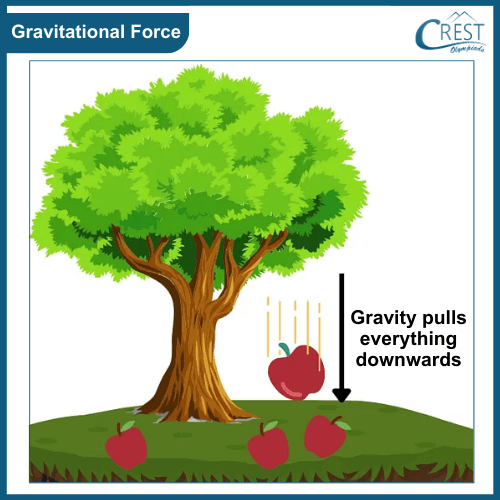 Science Grade 5 - Gravitational force