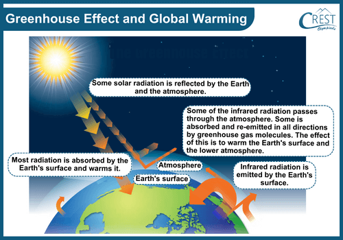 Green House Effect and Global Warming - Science Grade 8