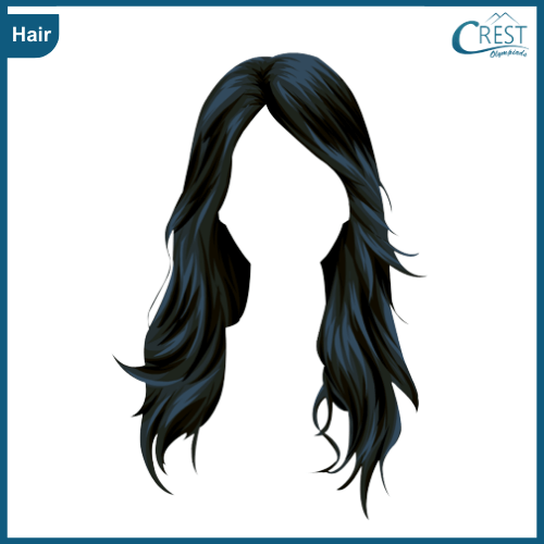 Hairs of Human - Science Grade 5