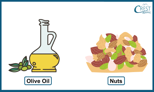 Healthy Fats - CREST Olympiads