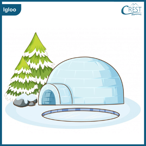 Example of Igloo