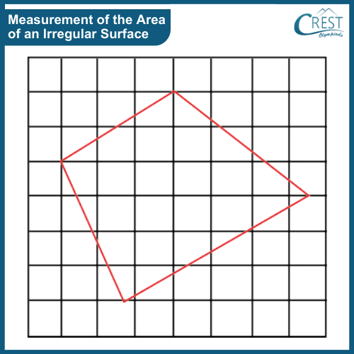 Measurement of the Area of an Irregular Surface - Science Grade 6