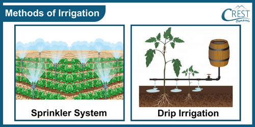 Different Methods of Irrigation - Sprinkler and Drip System