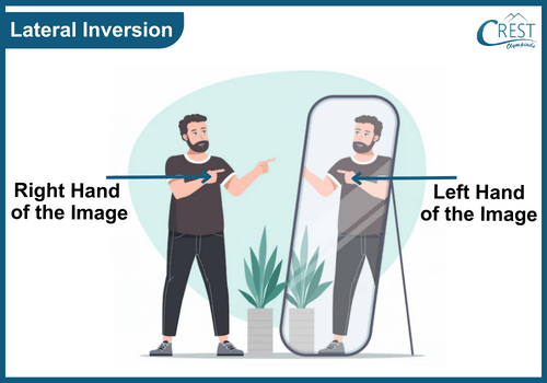 Diagram of Lateral inversion - Diagram of science grade 6