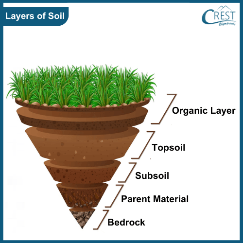Class 3-Different layers of soil