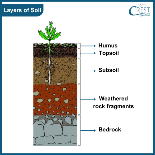 Classification of different layers of soil