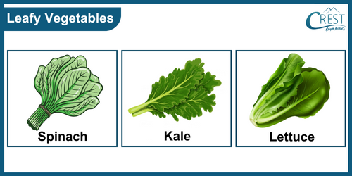 Types of Leafy Vegetables - CREST Olympiads