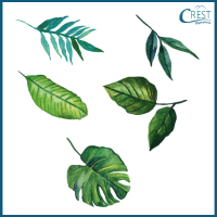 leaves