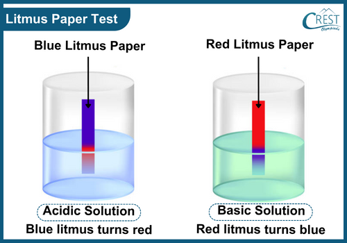 Litmus Paper Test - Natural Indicators