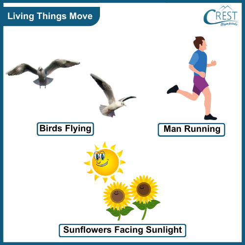 Examples of moving living things