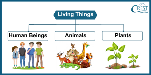Living Things - Definition, Characterstics and Examples