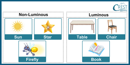 Luminous and Non Luminous Objects