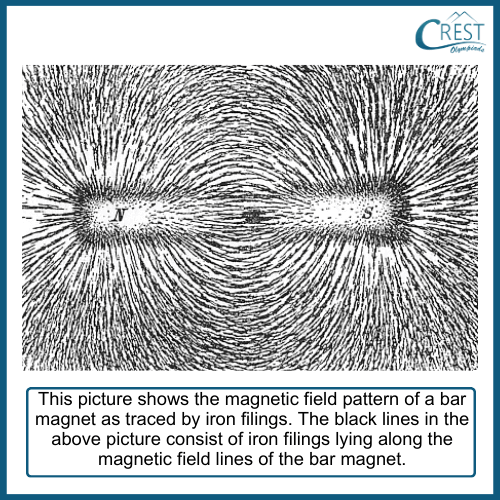 Magnetic Field Lines: Visualisation - CREST Olympiads